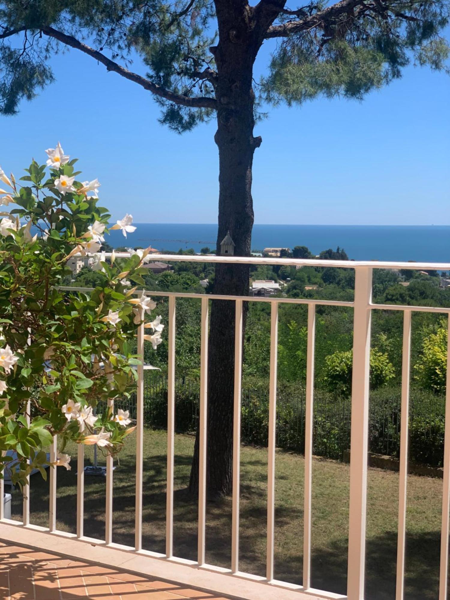 Tra Gli Alberi E Il Mare Bed & Breakfast Sirolo Exterior foto