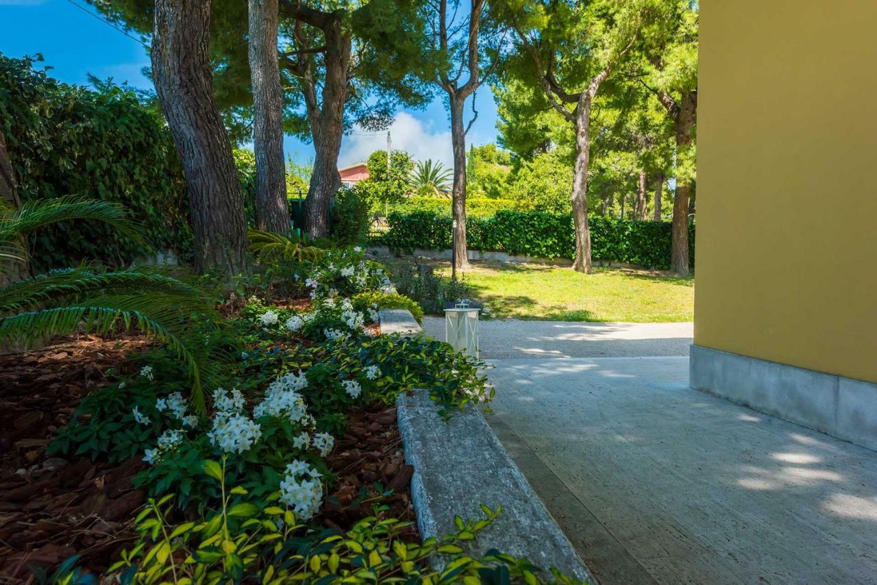 Tra Gli Alberi E Il Mare Bed & Breakfast Sirolo Exterior foto
