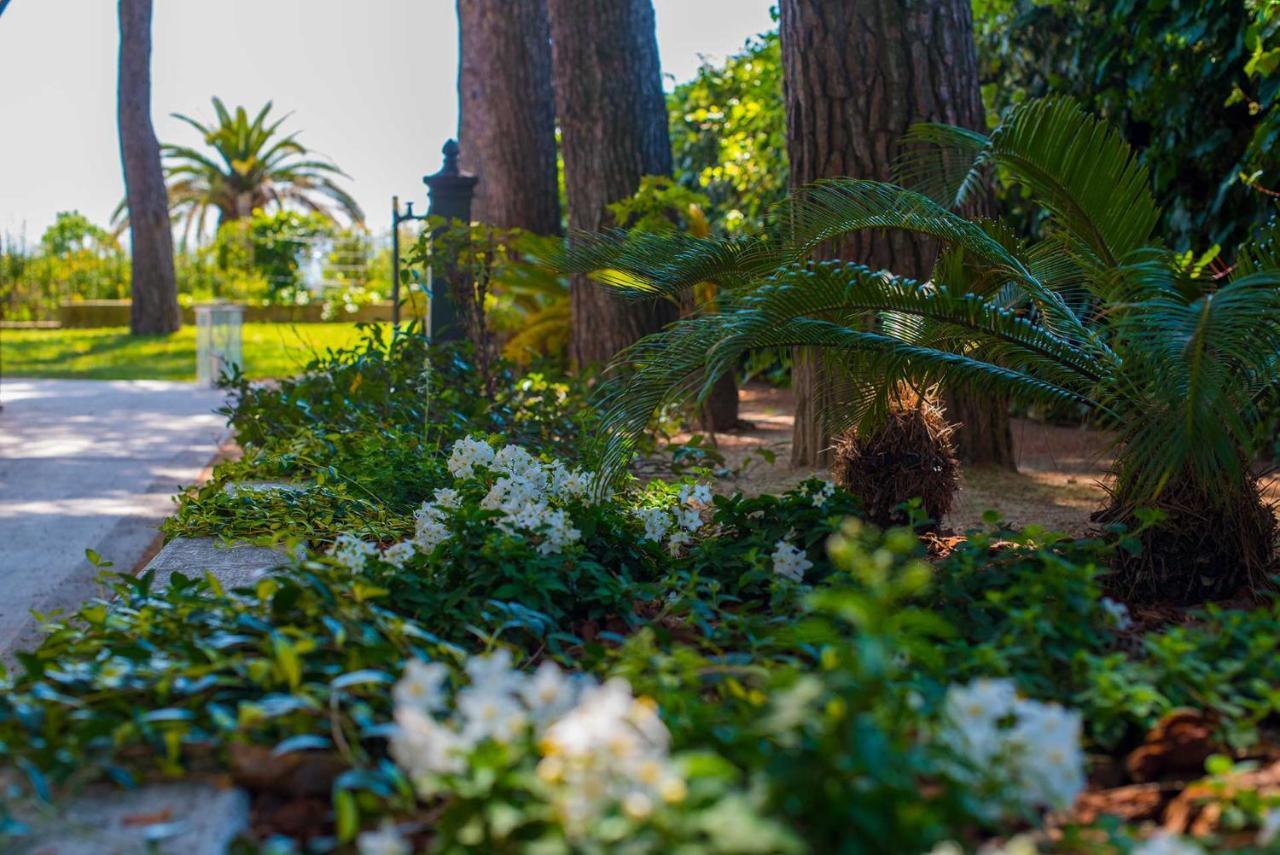Tra Gli Alberi E Il Mare Bed & Breakfast Sirolo Exterior foto